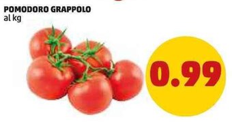 PENNY POMODORO GRAPPOLO offerta