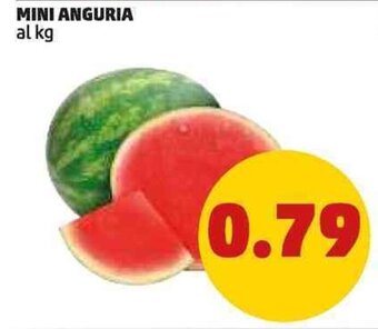 PENNY MINI ANGURIA offerta