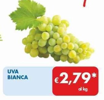 MD Discount UVA BIANCA offerta