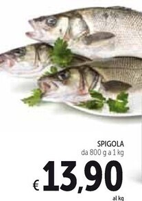 Spazio Conad Spigola offerta