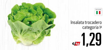 Maxi Supermercati Insalata trocadero offerta