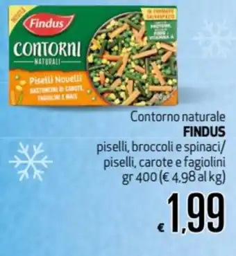 Maxi Supermercati Findus Contorno naturale 400gr offerta