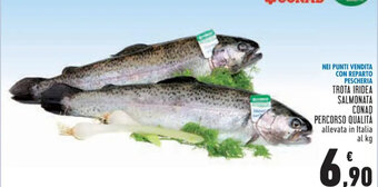 Conad TROTA IRIDEA SALMONATA CONAD PERCORSO QUALITÀ allevata in Italia al kg offerta