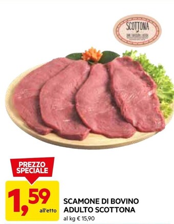 DPiù Scamone di bovino adulto scottona offerta