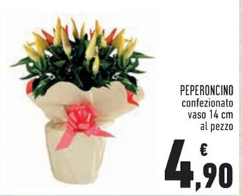 Conad PEPERONCINO confezionato vaso 14 cm al pezzo offerta