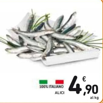 Spazio Conad ALICI offerta