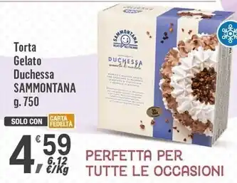 Supermercati Dok Sammontana torta gelato duchessa offerta