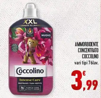 AMMORBIDENTE CONCENTRATO COCCOLINO vari tipi 76lav.