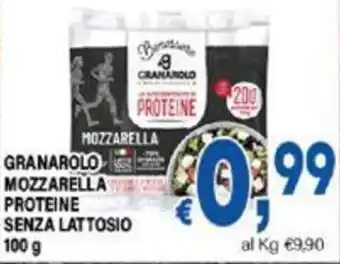 DEM GRANAROLO MOZZARELLA PROTEINE SENZA LATTOSIO 100 g offerta
