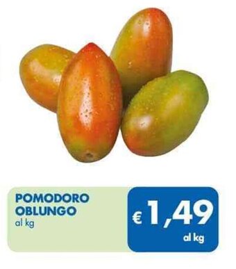MD Discount POMODORO OBLUNGO offerta