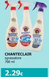 Tigotà Chanteclair sgrassatore offerta