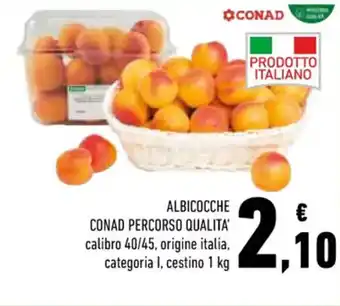 Conad Superstore ALBICOCCHE CONAD PERCORSO QUALITA 1 kg offerta