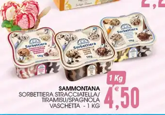 SAMMONTANA SORBETTIERA STRACCIATELLA/ TIRAMISU/SPAGNOLA VASCHETTA - 1 KG