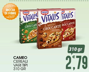 SpesAmica CAMEO CEREALI VARI TIPI 310 GR offerta