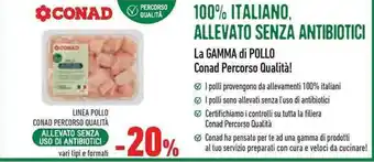 Conad LINEA POLLO CONAD PERCORSO QUALITÀ ALLEVATO SENZA USO DI ANTIBIOTICI vari tipi e formati offerta