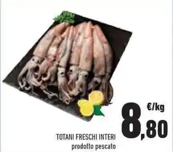 Conad TOTANI FRESCHI INTERI offerta