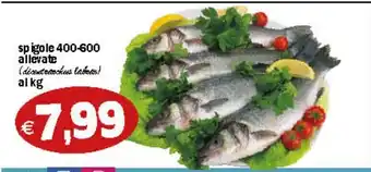spigole 400-600 allevate (dicentcchus latran) al kg