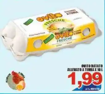 Ovito Batato Allevato A Terra x 10l
