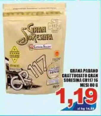 Sacoph Gran Soresina Grana Padano Grattugiato CR117 16 Mesi 80g offerta
