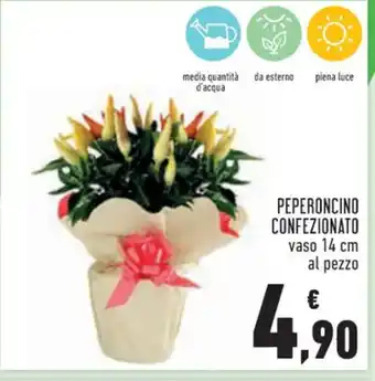 Conad PEPERONCINO CONFEZIONATO vaso 14 cm al pezzo offerta