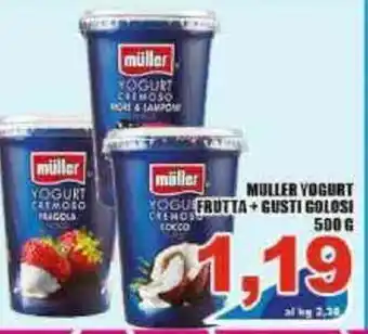 Sacoph Müller Yogurt Frutta+Gusti Colosi 500g offerta