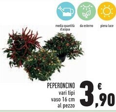 Peperoncino