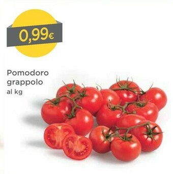 DPiù Pomodoro Grappolo offerta