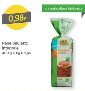 DPiù Bio Ricchi - Pan Bauletto Integrale 400 G(ml) offerta