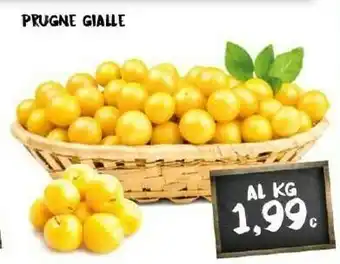 Prugne Gialle