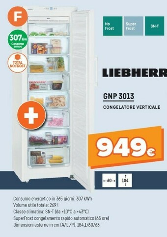 Expert Liebherr GNP 3013-21 Congelatore Libera Installazione Verticale Bianco 257 L A++ offerta