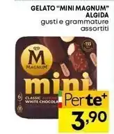 Pam Algida gelato mini magnum offerta
