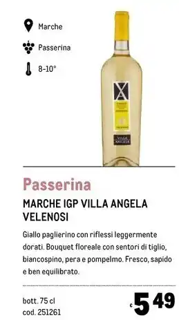 Metro Velenosi marche igp villa angela offerta