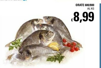 Basko Mazzancolle offerta