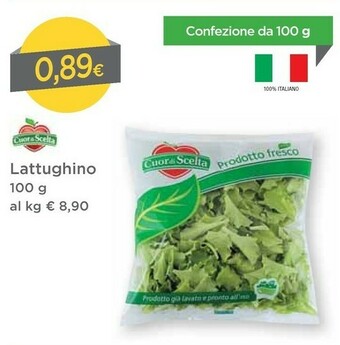 Dpiù Lattughino