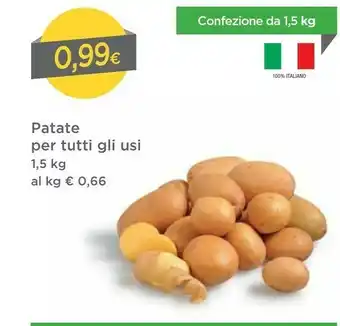 DPiù Dpiù Patate Per Tutti Gli Usi offerta
