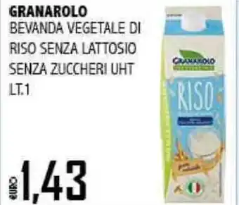 Big Food GRANAROLO BEVANDA VEGETALE DI RISO SENZA LATTOSIO SENZA ZUCCHERI UHT LT.1 offerta