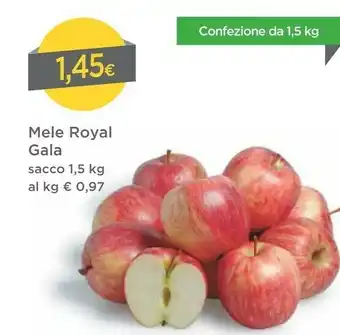 DPiù Royal Gala Mele offerta