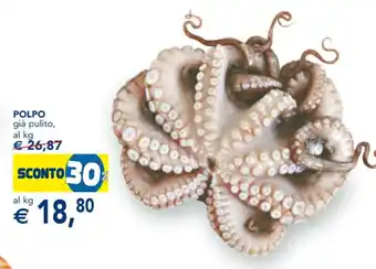 Esselunga POLPO già pulito, al kg offerta