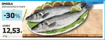Coop SPIGOLA allevamento in mare offerta