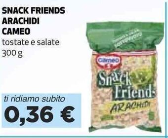 SNACK FRIENDS ARACHIDI CAMEO tostate e salate 300 g