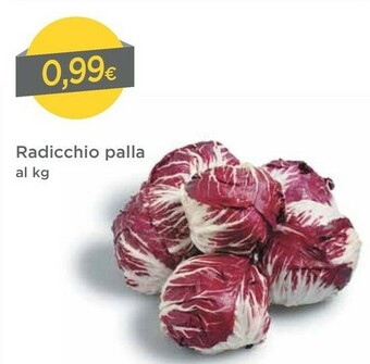 DPiù Radicchio Palla offerta