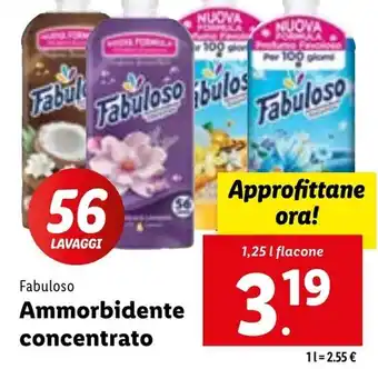 Lidl Fabuloso Ammorbidente concentrato 1,25 l flacone offerta