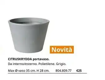 IKEA Citruskrydda Portavaso offerta