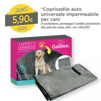 Coprisedile Auto Universale Impermeabile Per Cani
