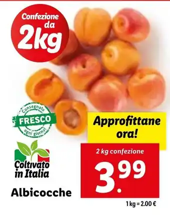 Lidl Albicocche 2 kg offerta