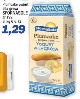 Sfornasole plumcake yogurt alla greca