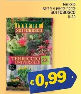 Sottobosco - terriccio gerani e piante fiorite