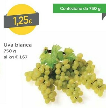 DPiù Uva Bianca offerta