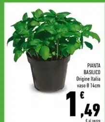 Conad Superstore Pianta basilico offerta