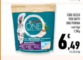 Conad Superstore Purina cibo secco per gatti one offerta